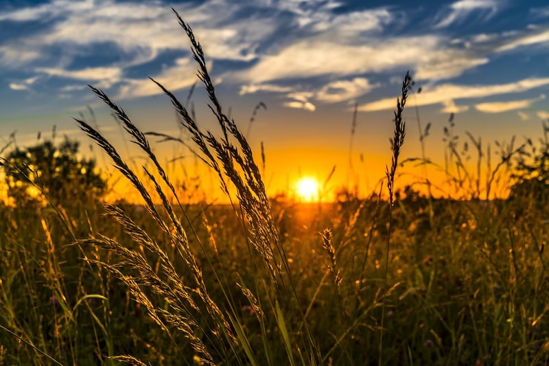 Sustainable Agriculture
